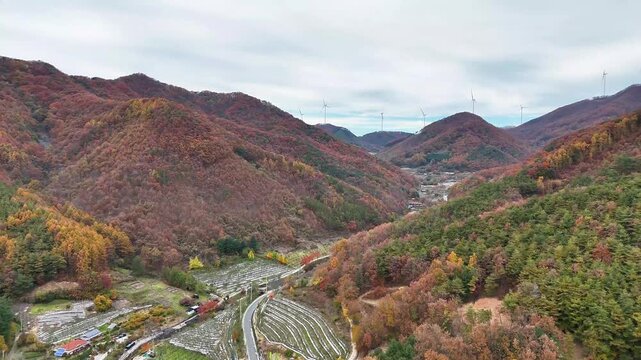 한국의 가을산 속 농촌마을 (군위읍,삼국유사면 가암리  2025.11.13 촬영)
