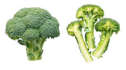 Fresh broccoli florets and crown isolated on transparent background