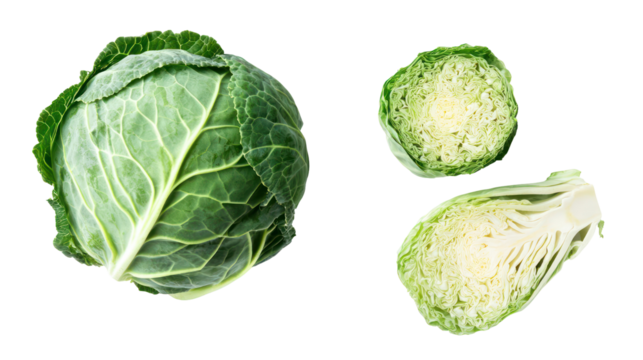 Fresh green cabbage and two halves of brussels sprouts isolated on transparent background