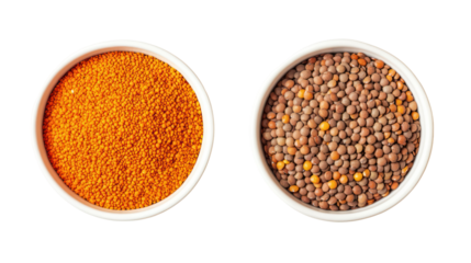 Two bowls of lentils red and brown isolated on transparent background