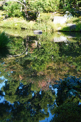京都衣笠等持院の庭園の池のほとりの風景