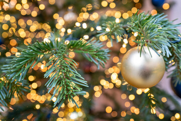 Weihnachten Tannen Zweig mit Licht