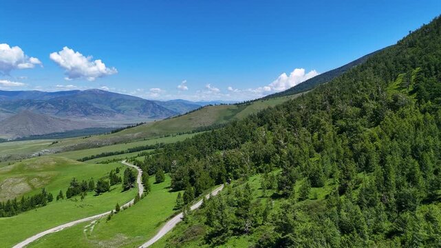 A drone pullback over a green mountain foothill with a serpentine road running through a pine forest on a sunny summer day in a Kazakhstan nature reserve
