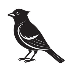 Cedar waxwing silhouette black vector icon