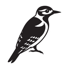 Downy woodpecker silhouette black vector icon