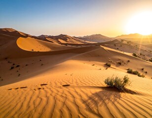 A scenic desert landscape, the sun rising over undulating sand dunes, casting long shadows. Some low, sparse vegetation is visible