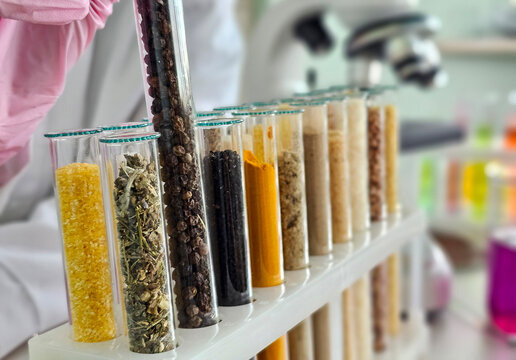 Colorful display of spices and herbs in test tubes during culinary experimentation in a lab concept