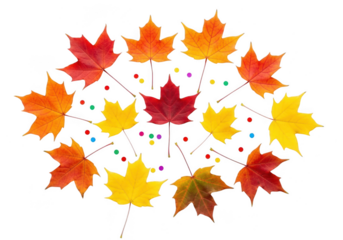 A vibrant arrangement of colorful maple leaves in red, orange, and yellow, scattered with small confetti dots, isolated on transparent background
