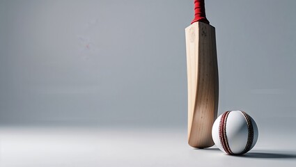 Cricket bat and ball on white surface in minimalistic style