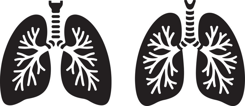 Respiratory System Vector Graphic Showing Human Lungs and Bronchi