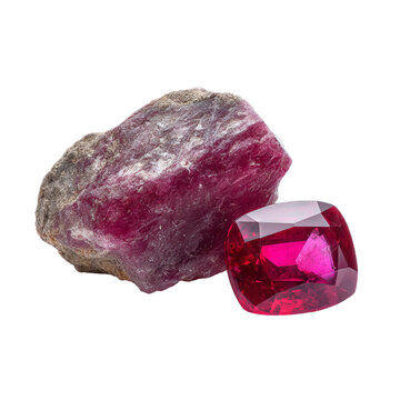 Raw ruby crystal and faceted ruby gemstone in cushion cut. Isolated white background. Png format