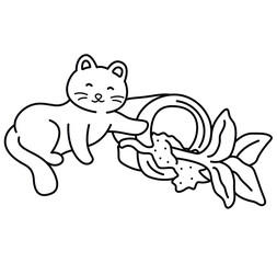 cozy and cute cat coloring page for kids,teens and adults