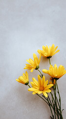 bouquet of yellow chrysanthemums