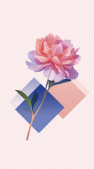 pink rose illustration