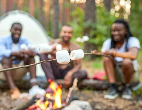 Friends gathered around campfire roasting marshmallows, camping in a blurred outdoor setting