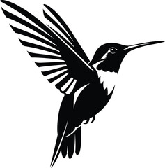 Detailed hummingbird silhouette with extended wings in elegant vector style