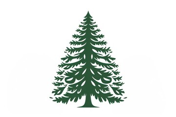 Fototapeta premium Christmas tree christmas plant pine.