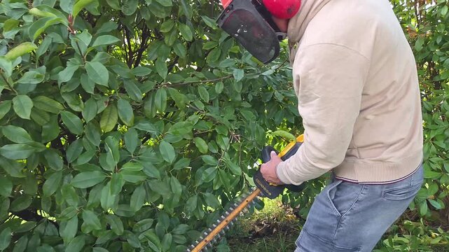 Un homme taille un arbuste avec un taille-haie &eacute;lectrique, jardinier qui travaille &agrave; l'ext&eacute;rieur, am&eacute;nagement paysager et entretien du jardin.