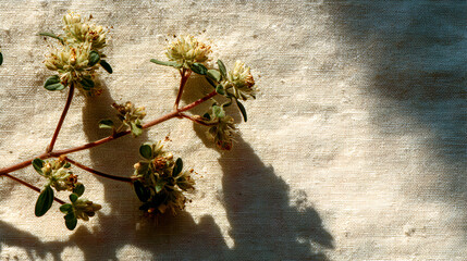 Closeup of a flowering plant branch with small yellow blossoms and green leaves.