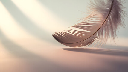 Delicate Feather Close-Up with Soft Light and Shadow, Minimalist Design, Dreamy and Ethereal Atmosphere, Gentle Curves and Textures, Pastel