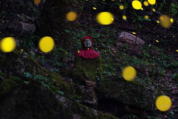 宝満山のヒメボタル