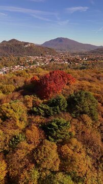 Aerial drone flight over Lake Como with vibrant autumn and early winter foliage, colorful trees, alpine mountains and reflective waters creating a cinematic lakeside view