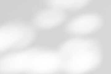 Shadow of leaves tree plant overlay on white wall. Sunlight effect shadow on the wall. Minimal blurred backdrop backgrounds. Summer tropical surface background.