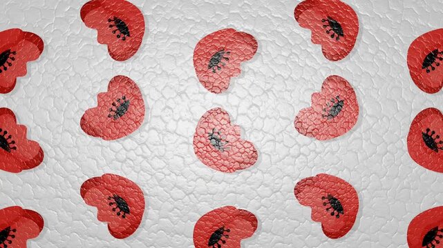 Short animation.Red poppy floral pattern over a cracked earth texture.