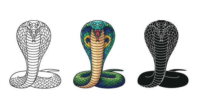 Three king cobra snake illustrations in different styles, including line art, silhouette, and color