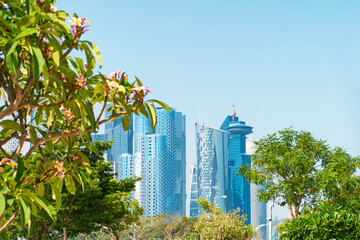 Modern skyline of Doha with futuristic skyscrapers seen through lush green trees and tropical flowers in West Bay, Qatar. Modern architecture and futuristic cityscape in Gulf countries, Middle East