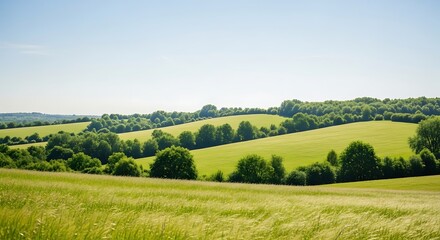 Fototapeta premium Lush green rolling hills under a clear blue sky, a beautiful pastoral landscape scene in summer