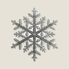 Retro halftone cut out snowflake. Winter symbol with photocopy texture, perfect for Christmas cards, posters, prints, or vintage-style holiday designs.