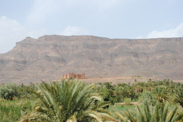 Palm trees in green oasis in desert arid landscape between Agdz and Zagora towns in Atlas Mountains, Morocco, North Africa