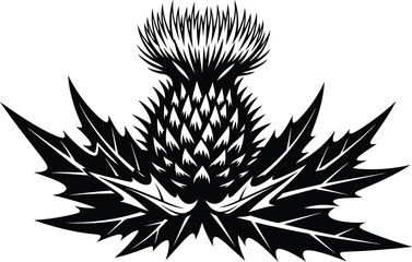 Obraz premium black and white silhouette of a flower