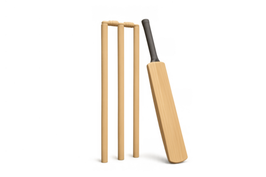 Cricket bat leaning on wickets with bails, playing sport game equipment for professional tournament