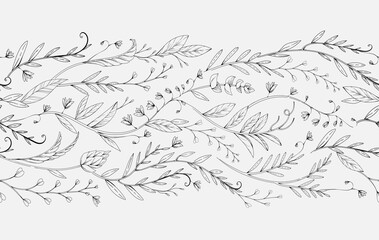 Botanical seamless horizontal border with detailed various foliage, intricate details and delicate forms. Elegant floral rustic design elements. Hand drawn vintage vector