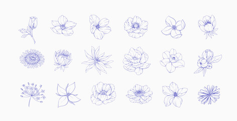 Botanic set of detailed various flowers. Luxury vintage floral collection for wedding invitation, wallpaper art or save the date card. Botanical vector illustration