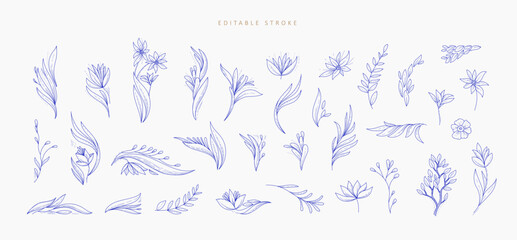 Set of detailed floral and botanical decorations elements. Luxury elegant design elements for wedding invitation, wallpaper art or save the date card