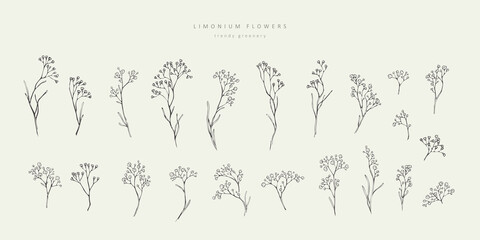 Set of limonium flowers. Hand drawn line leaves branches and blooming. Wedding elegant wildflowers for invitation save the date card. Vector trendy
