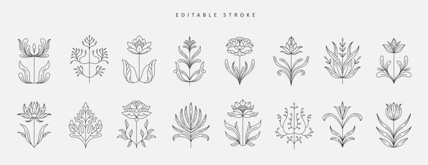 Set of boho simple geometric branch and flowers. Botanic design elements in wavy and vintage style. Leaves and branches print for logo, social media or packaging