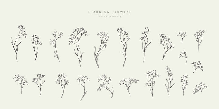 Set of limonium flowers. Hand drawn line leaves branches and blooming. Wedding elegant wildflowers for invitation save the date card. Vector trendy