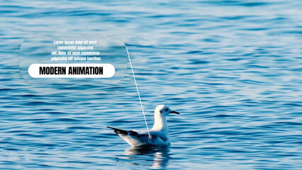 Glass Call-Outs Title 6