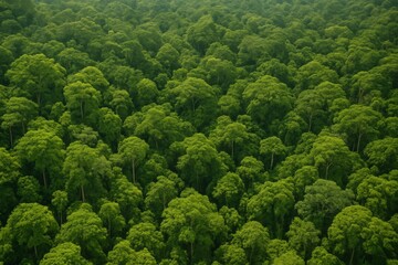 Dense tropical rainforest landscape with lush green tree canopy viewed from above, expressing nature conservation and ecosystem balance concept. Ai generative