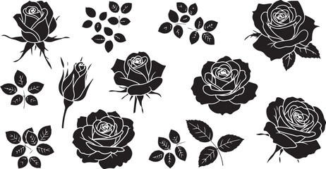 Vibrant collection of diverse flowers and botanical elements for artistic design projects