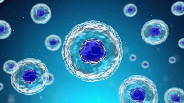 Exploring the structures of micro cells under magnification