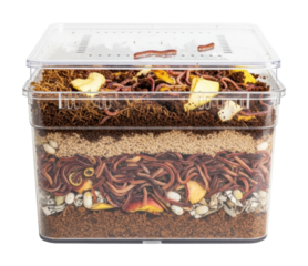 Worm composting process home workshop educational guide isolated on transparent background