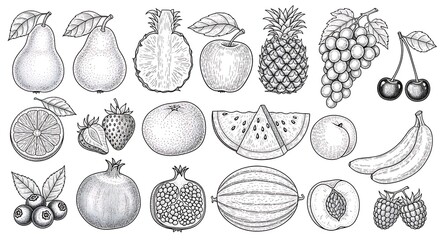 Vibrant collection of delicious, hand-drawn fruits bursting with natural goodness and healthy appeal for your next project.