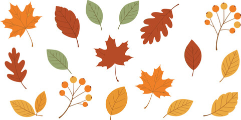 Autumn Leaves Vector Collection Featuring Maple, Oak, and Berries in Warm Fall Colors, Ideal for Seasonal Decoration, Thanksgiving, and Nature-Themed Designs