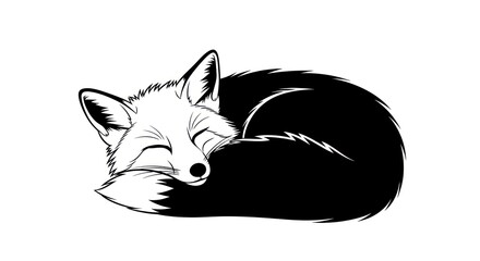 Obraz premium Sleeping Fox - A Peaceful Black and White Illustration.