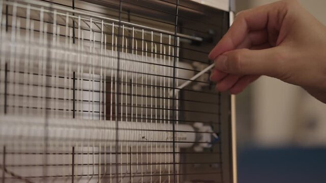 Person cleaning grill of uv bug zapper with cotton swab, removing trapped insects and debris, performing routine maintenance for effective pest control and home hygiene, close-up, slow motion.
